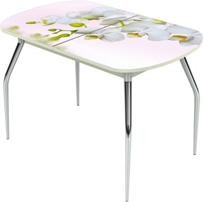 Обеденный раздвижной стол Ривьера исп.1 ноги хром №5 Фотопечать (Цветы №7) в Лангепасе