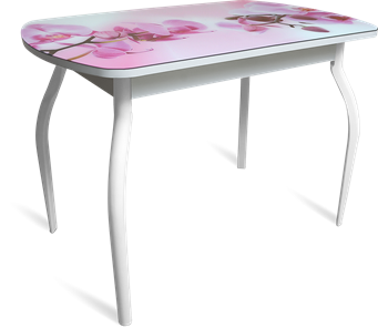 Кухонный обеденный стол ПГ-04 СТФ белое/орхидея/крашенные фигурные в Когалыме