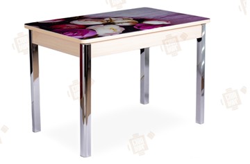 Кухонный раскладной стол Айсберг-01 СТФ, дуб/фотопечать пионы/ноги хром квадратные в Сургуте