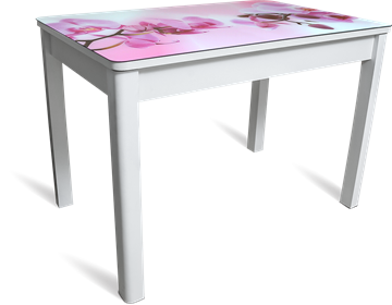 Обеденный раздвижной стол Айсберг-02 СТФ, белое лдсп/орхидея/40 прямые массив белые в Нижневартовске