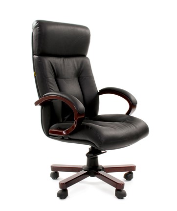 Компьютерное кресло CHAIRMAN 421 в Лангепасе - изображение