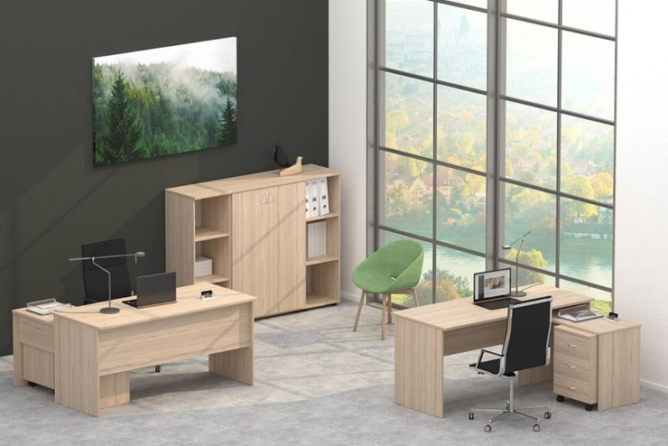 Набор мебели в офис Twin в Лангепасе - изображение 4