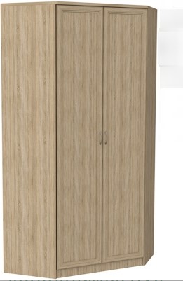 Шкаф распашной 403 несимметричный, цвет Дуб Сонома в Радужном - изображение