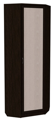 Шкаф 402 угловой со штангой, цвет Венге в Радужном - изображение