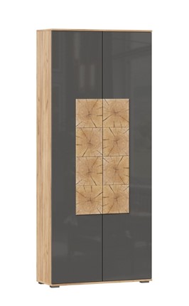 Шкаф двухстворчатый Фиджи с декоративными накладками 659.310, Дуб Золотой/Антрацит в Урае - изображение