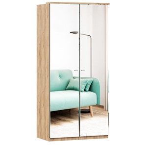 Шкаф двухстворчатый с 2-мя зеркалами Фиджи, 659.233, цвет белый в Нижневартовске