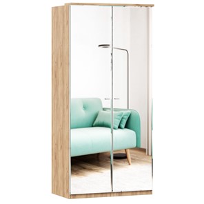 Шкаф двухстворчатый с 2-мя зеркалами Фиджи, 659.238, цвет белый в Нижневартовске