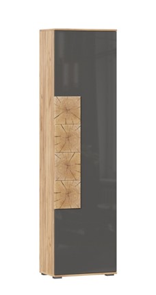 Шкаф одностворчатый Фиджи с декоративными накладками 659.300, Дуб Золотой/Антрацит в Советском - изображение