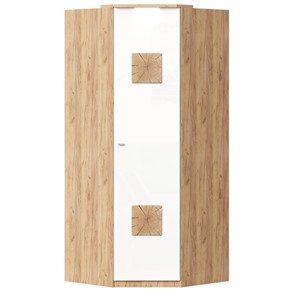 Шкаф угловой 45 с декоративной накладкой Фиджи, 659.248, белый в Лангепасе