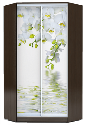 Шкаф 2300х1103, ХИТ У-23-4-77-05, Белая орхидея, венге в Лангепасе - изображение