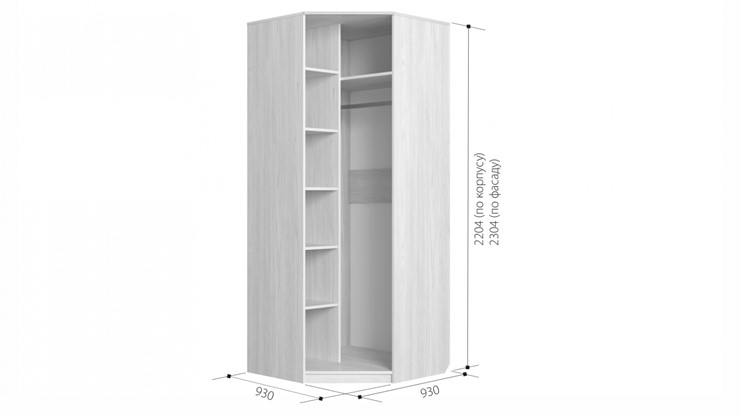 Распашной шкаф угловой Ева-10 в Нижневартовске - изображение 1