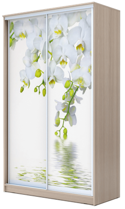 Шкаф 2400х1682х620, Белая Орхидея ХИТ 24-17-77-05 Ясень Шимо Светлый в Ханты-Мансийске - изображение