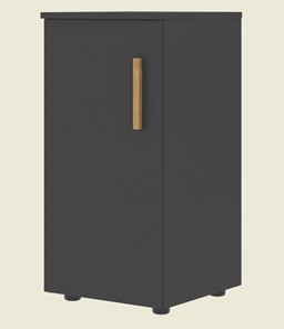 Низкий шкаф колонна с глухой дверью левой FORTA Черный Графит FLC 40.1 (L) (399х404х801) в Нижневартовске