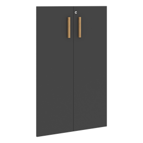 Двери для шкафов средние с замком FORTA Черный Графит FMD 40-2(Z) (794х18х1164) в Лангепасе