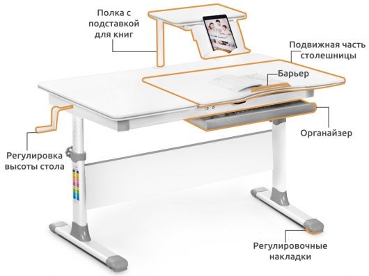 Детский стол-трансформер Mealux Evo-40 Lite, Синий в Нижневартовске - изображение 1