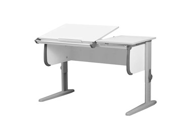 Растущий стол 1/75-40 (СУТ.25) белый/серый/серый в Сургуте