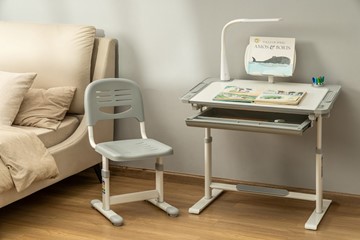 Растущий стол и стул Littonia Grey FUNDESK (c лампой и подставкой) в Урае - предосмотр 7